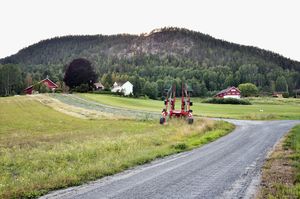 Sauherad, Noradalsvegen-1.jpg