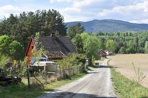 Sauherad, Nordgardsvegen-1.jpg