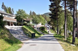 Sauherad, Norsjø terrasse-1.jpg