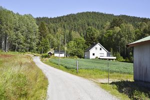 Sauherad, Siljuåsvegen-1.jpg