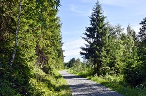 Sauherad, Slettavegen-1.jpg