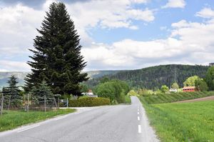 Sauherad, Valebøvegen-1.jpg