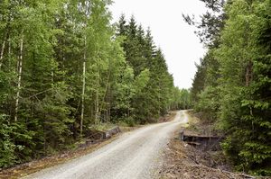 Sauherad, Vardåsvegen-1.jpg