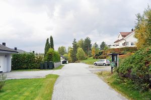 Sauherad, Vidsjåvegen-1.jpg