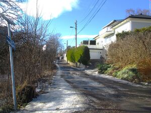 Schiøtts vei Oslo 2015.jpg