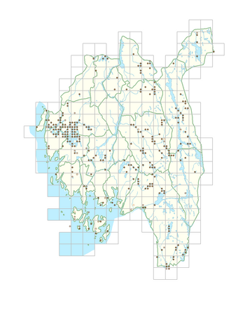 Schoenoplectus lacustris 1.png