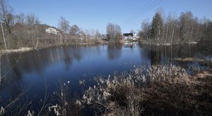 Schwartzdammen april 2020 (N0014).jpeg