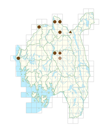 Scopolia carniolica.png