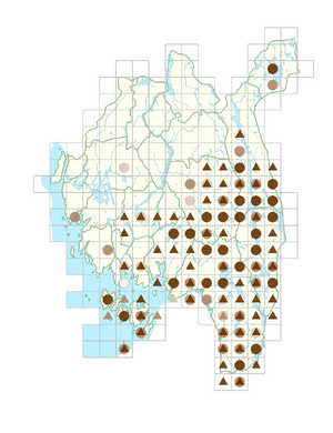 Scorzonera humilis.png