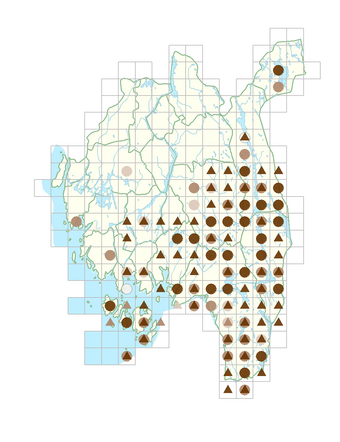Scorzonera humilis.png