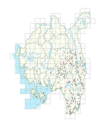 Scorzonera humilis 1.png
