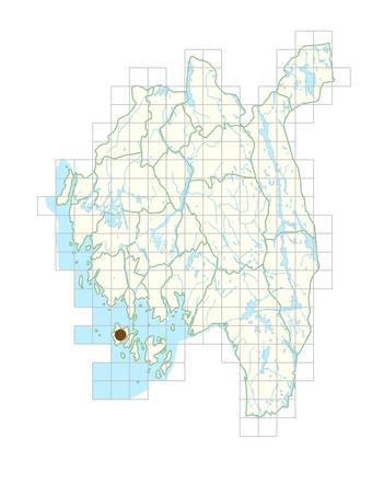 Sedum hispanicum.png