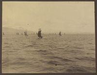 Uidentifiserte nordlandsbåtar i Nordland, truleg i nærheita av Bodø. Foto: Thorstein Eliasson Brændmo (1838–1912)