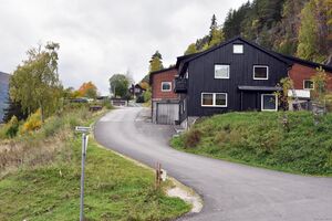 Seljord, Åsanvegen-1.jpg