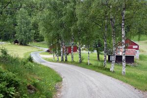 Seljord, Åsheimgrendi-1.jpg