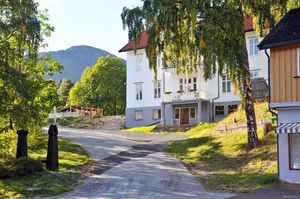 Seljord, Borgenvegen-1.jpg