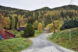 Seljord, Elgfaret-1.jpg