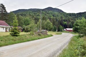 Seljord, Grunningsdalsvegen-1.jpg