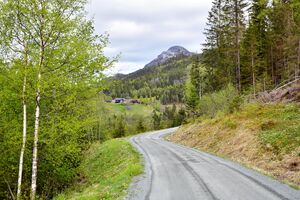 Seljord, Grunningsdalsvegen-2.jpg