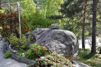 Hønersteinen. Foto: Roy Olsen (2019).