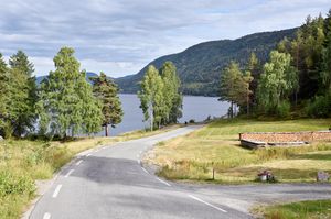 Seljord, Mosasida-1.jpg