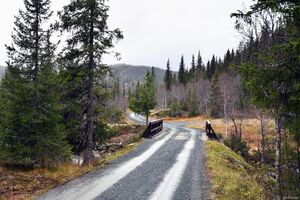 Seljord, Myrbøenvegen-1.jpg