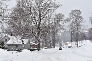 Seljord, Nyveg-1.jpg