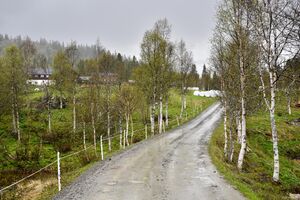 Seljord, Sollidvegen-1.jpg