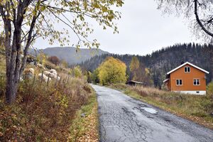 Seljord, Sudbøvegen-1.jpg