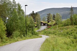 Seljord, Tømmeråsvegen-1.jpg