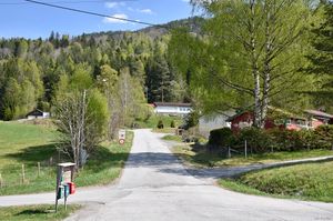 Seljord, Trongkleivvegen-1.jpg