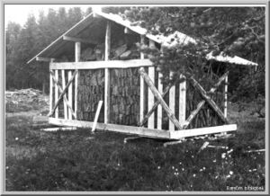 Semsmåsan torvhus.jpg