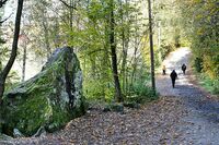 Semsvannet i Asker ble vernet som naturreservat den 2. oktober 1992 og ble i 2000 valgt som Askers tusenårssted. Plaketten som viser askerbøringenes valg er festet til en stor stein. Dette er et populært turområde. Foto: Svend Aage Madsen, 2024