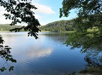 Motiv fra Semsvannet, Askers største vann. Foto: Stig Rune Pedersen