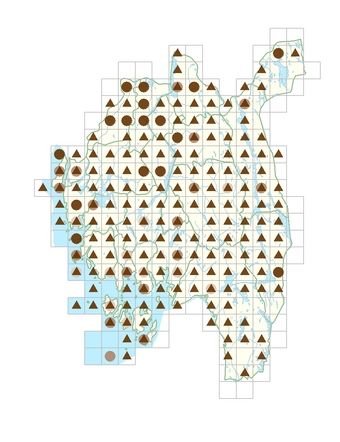 Senecio viscosus.png