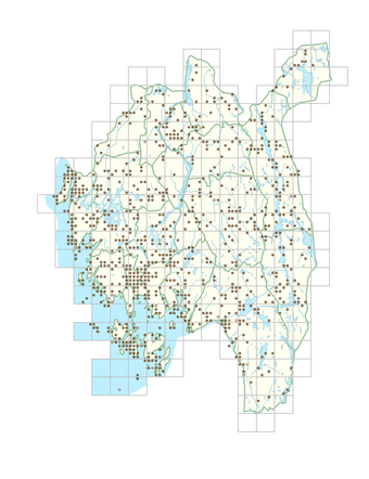 Senecio viscosus 1.png