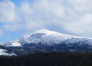 Senhovd Rollag kommune 2014.jpg