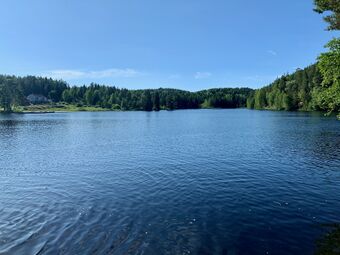 Setertjern Østmarka.jpg