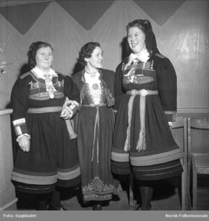 Setesdalslaget bunader.jpg