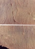 13. Setrer på Fiskum (oeb-250188).jpg