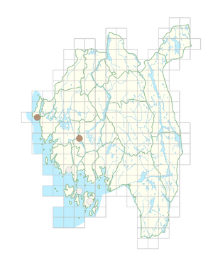 Sherardia arvensis.png