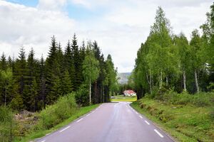 Sigdal, Hiåsskogveien-1.jpg