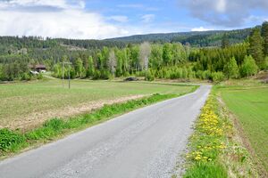 Sigdal, Reistadveien-1.jpg