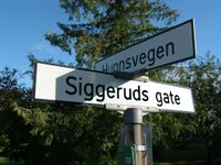 Krysset Hunnsvegen/Siggeruds gate. Foto: Anne-Lise Svendsen (2008).