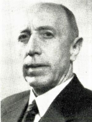 Sigurd Fougner dommer foto.jpg