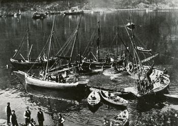 Sildekast Kanstad.jpg