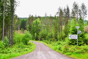 Siljan, Grønliveien-1.jpg