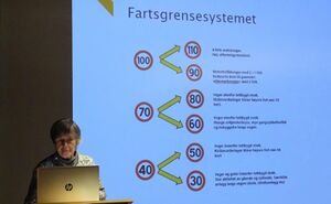 Sissel Sandelien (4).JPG