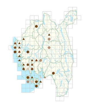 Sisymbrium officinale.png