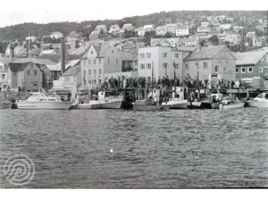 Sjøfiskefestival 1977.png